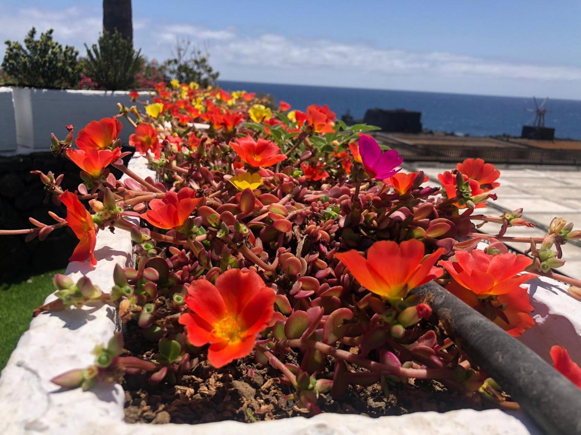 Vivienda Vacacional Sal Y Mar Playa Cancajos.- BreNa Baja  Buitenkant foto